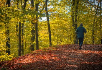 Ormanya’da huzur veren atmosfer