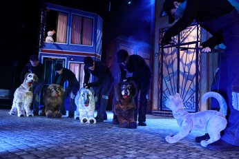 Şehir Tiyatroları’ndan festivale güçlü imza