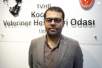 Boyalı köpekler merak uyandırdı