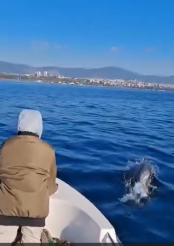 ‘Körfez yeniden hayat buldu’