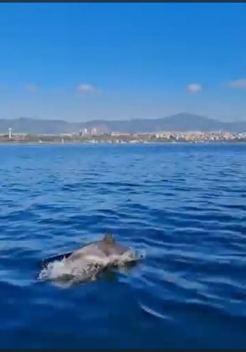 ‘Körfez yeniden hayat buldu’