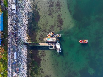 Dipten dirilişe canlı tanıklık