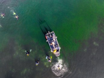 Dipten dirilişe canlı tanıklık