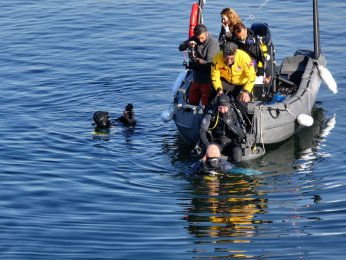 Dipten dirilişe canlı tanıklık