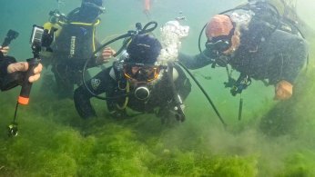 Dipten dirilişe canlı tanıklık