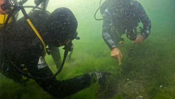 Dipten dirilişe canlı tanıklık