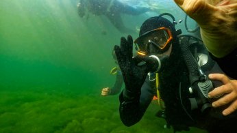 Dipten dirilişe canlı tanıklık