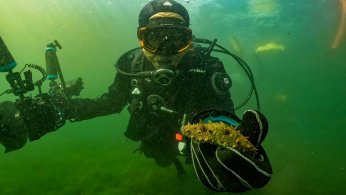 Dipten dirilişe canlı tanıklık