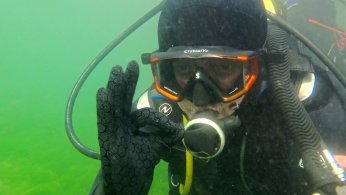 Dipten dirilişe canlı tanıklık