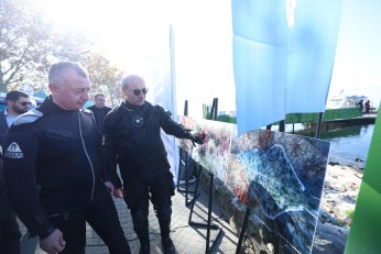 Dipten dirilişe canlı tanıklık