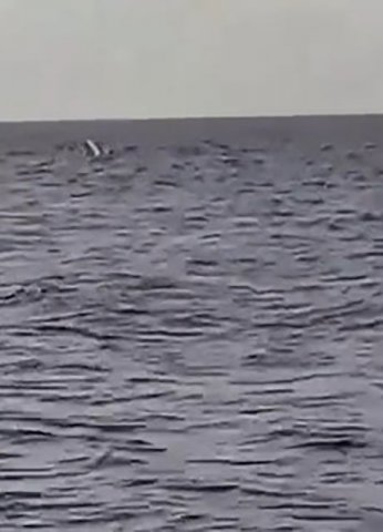 Kayık alabora oldu: 1 kişi kurtarıldı, 1 kişi aranıyor