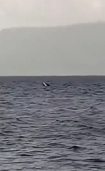 Kayık alabora oldu: 1 kişi kurtarıldı, 1 kişi aranıyor