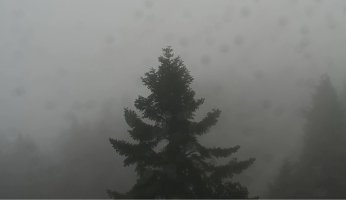 Kocaeli’de fırtına etkili oluyor