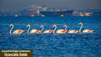 Kocaeli’yi anlatan en iyi kareler belli oldu