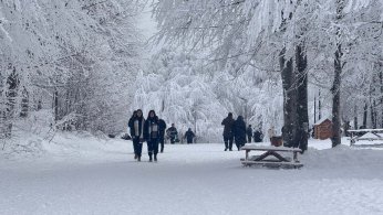 Ormanya 5 milyona yakın kişiyi ağırladı