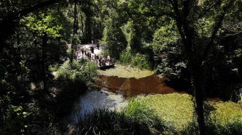 Ormanya 5 milyona yakın kişiyi ağırladı