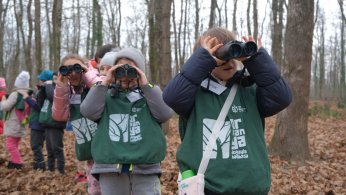 Ormanya 5 milyona yakın kişiyi ağırladı