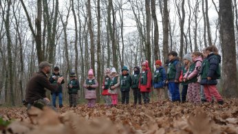 Ormanya 5 milyona yakın kişiyi ağırladı