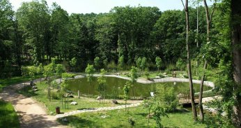 Ormanya 5 milyona yakın kişiyi ağırladı