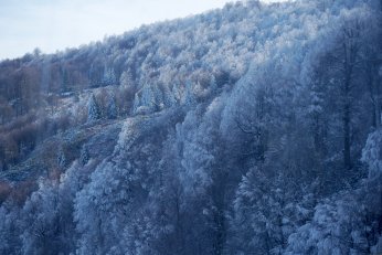 Yılbaşı öncesi Kartepe’de yoğunluk arttı