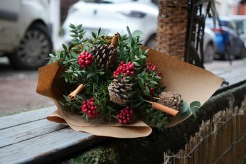 Kokina hırsızı köpek kameraya yakalandı