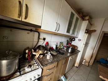 Kapı açılınca karşılaşılan manzara şoke etti