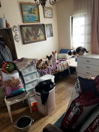 Kapı açılınca karşılaşılan manzara şoke etti