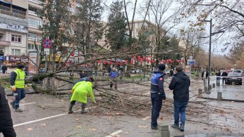 Büyükşehir, şiddetli lodosa karşı teyakkuzda