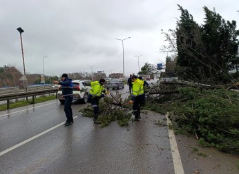 Büyükşehir, şiddetli lodosa karşı teyakkuzda