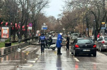 Büyükşehir, şiddetli lodosa karşı teyakkuzda