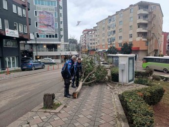 Büyükşehir, şiddetli lodosa karşı teyakkuzda