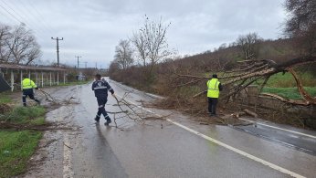 Büyükşehir, şiddetli lodosa karşı teyakkuzda
