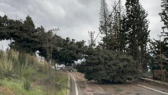 Kocaeli’de fırtına hayatı felç etti