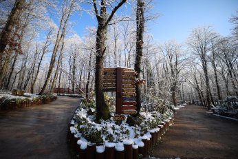 Karla kaplı Ormanya’da kartpostallık görüntüler