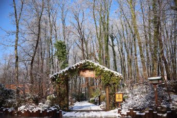 Karla kaplı Ormanya’da kartpostallık görüntüler