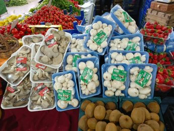 Soğuk hava pazar fiyatlarını yükseltti