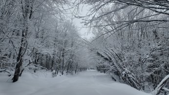 Karla kaplı yollarda  adrenalin yaşadılar