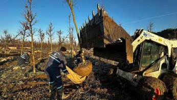 Fidanlıkta binlerce  bitki yetiştiriliyor   