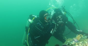 ‘Dipten diriliş tüm Marmara’ya yayılıyor’