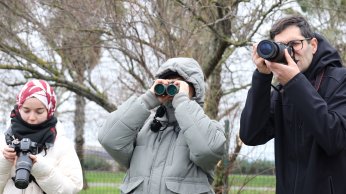 Doğaseverler Flamingo Şenliği’nde buluştu