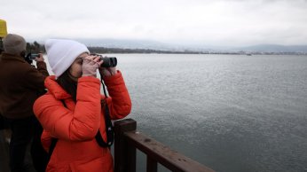 Doğaseverler Flamingo Şenliği’nde buluştu