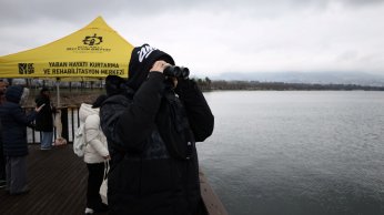 Doğaseverler Flamingo Şenliği’nde buluştu