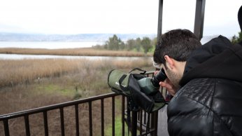 Doğaseverler Flamingo Şenliği’nde buluştu