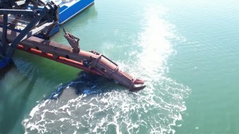 Körfez’de flamingo sayısı ikiye katlandı