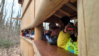 Lokomotif’in minikleri Ormanya’yı keşfetti