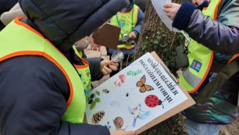 Lokomotif’in minikleri Ormanya’yı keşfetti