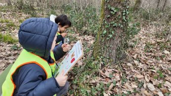 Lokomotif’in minikleri Ormanya’yı keşfetti