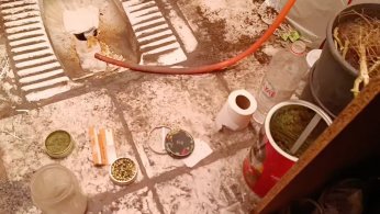 Evleri uyuşturucu serasına çevirmişler: 36 gözaltı