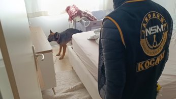 Evleri uyuşturucu serasına çevirmişler: 36 gözaltı
