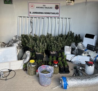 Evleri uyuşturucu serasına çevirmişler: 36 gözaltı